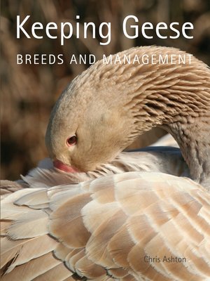 cover image of Keeping Geese